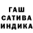 Канабис сатива Shyraylym Taimanova
