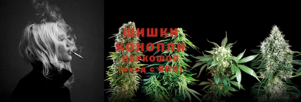 гидропоника Пересвет
