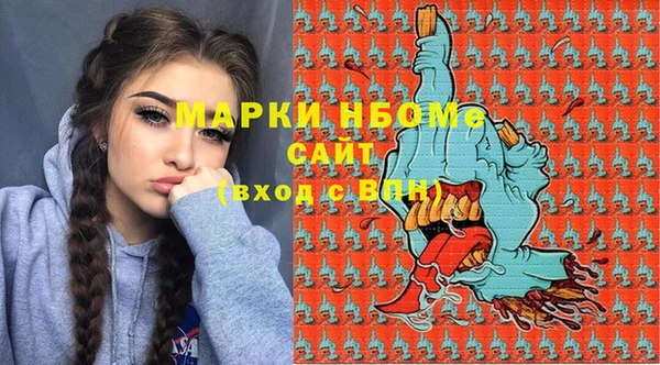 хмурый Пестово