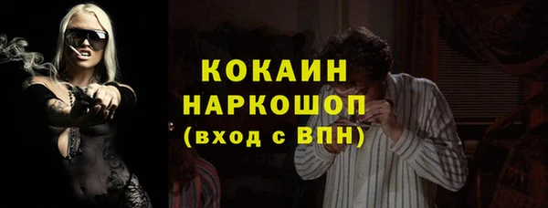 гидропоника Пересвет