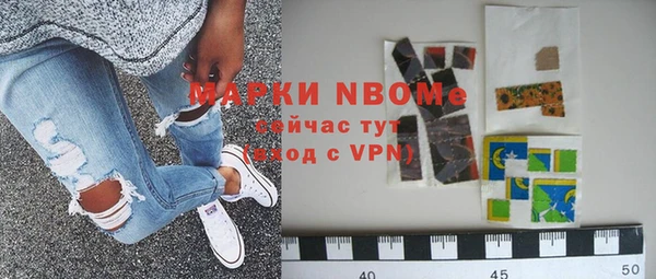 хмурый Пестово