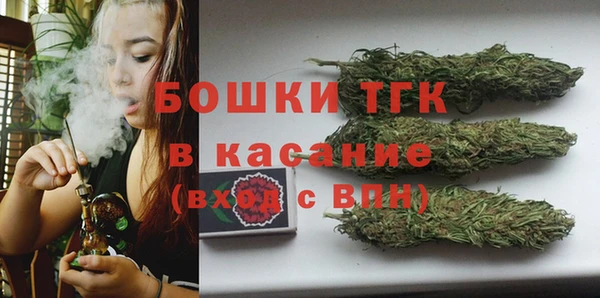 хмурый Пестово