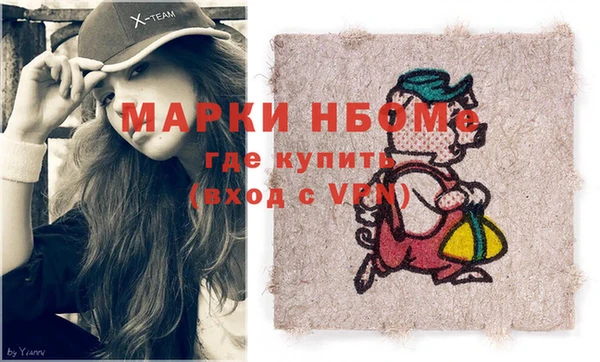 хмурый Пестово