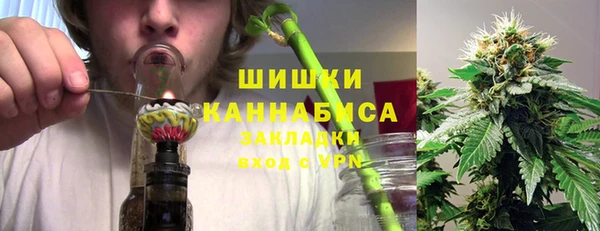 хмурый Пестово