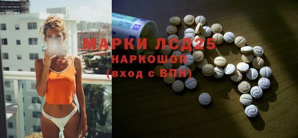 хмурый Пестово