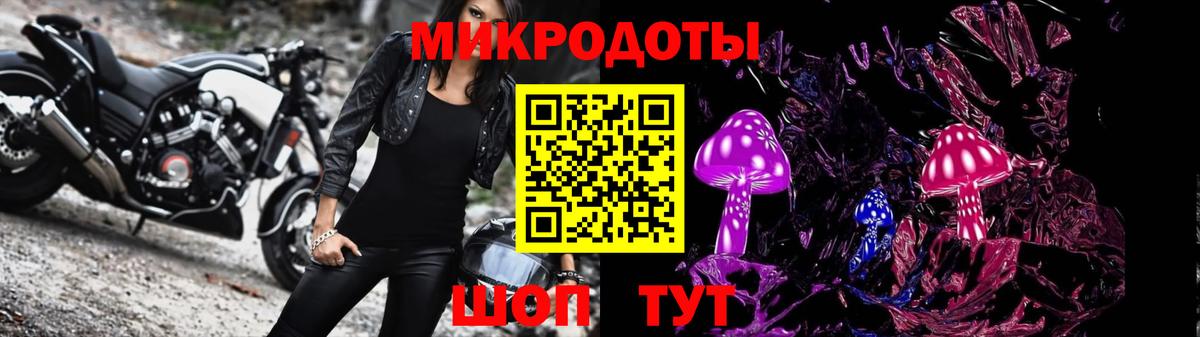 Баксан  Галлюциногенные грибы Psilocybe  Вход с VPN 