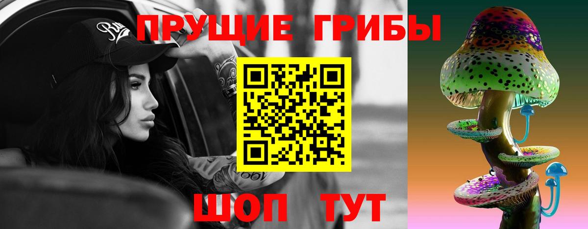 Галлюциногенные грибы мухоморы  Псилоцибиновые грибы Cubensis  Баксан 